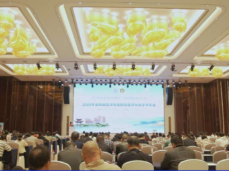 會(huì)議回顧丨精彩紛呈，麗珠試劑亮相2024年湖南省醫(yī)師協(xié)會(huì)檢驗(yàn)醫(yī)師分會(huì)學(xué)術(shù)年會(huì)